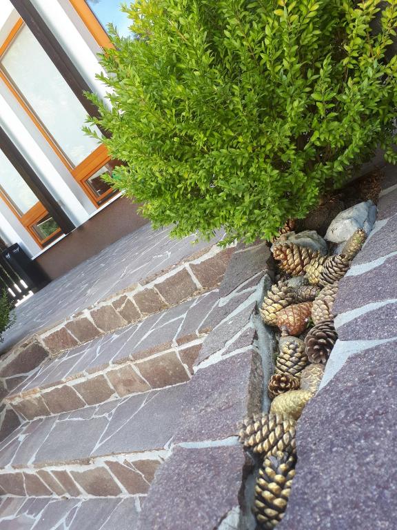 Zahrada ubytování Hotel Rakov Skocjan