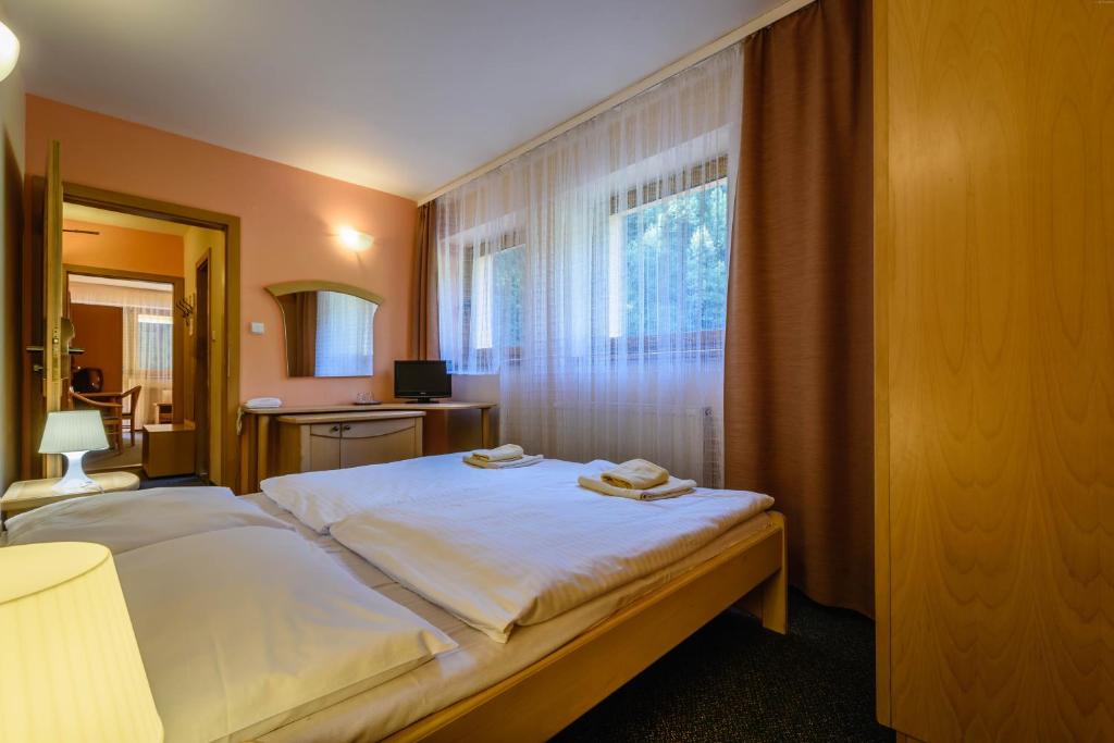 Postel nebo postele na pokoji v ubytování Hotel Boboty
