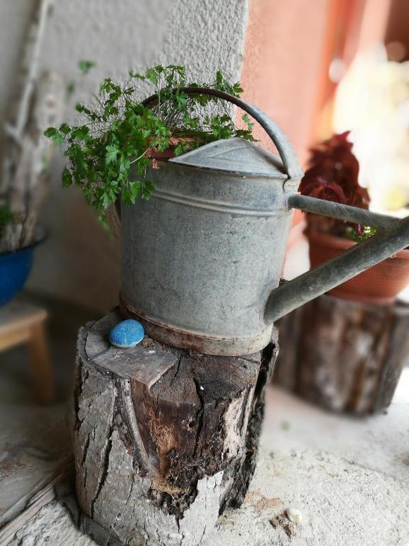 Fotografie z fotogalerie ubytování Holiday home Pustodol v destinaci Donja Stubica