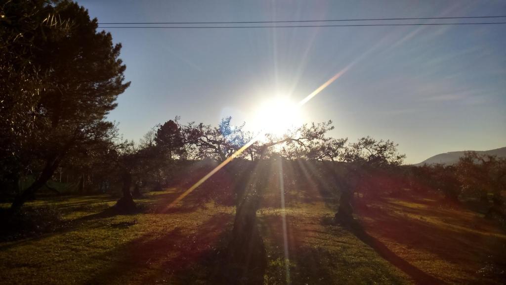 Príroda v okolí apartmánu