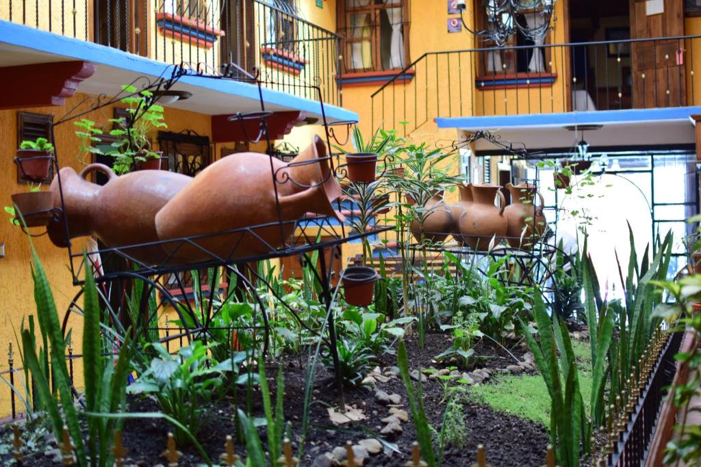 Zahrada ubytování Hotel Tradicional