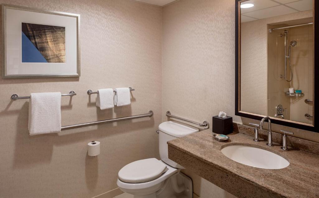 Hyatt Regency Saint Louis at The Arch - Queen Room With Accessible Tub - Disability Access