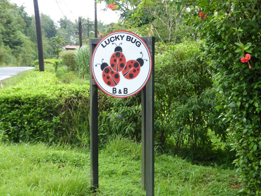 Certifikát, hodnocení, plakát nebo jiný dokument vystavený v ubytování Lucky Bug Bed And Breakfast