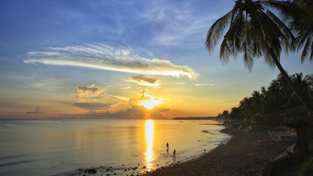 a sunset on a beach with a palm tree at Villa Selina in Tejakula