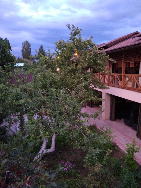 a tree in a garden next to a building at Guest House Albatros in Cholpon-Ata