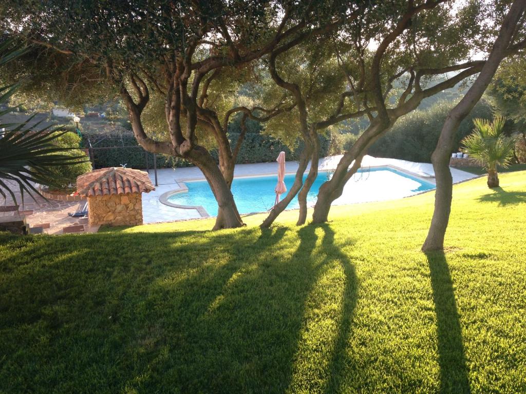 a group of trees in a yard with a swimming pool at Country Domos Tramentu in Ozieri