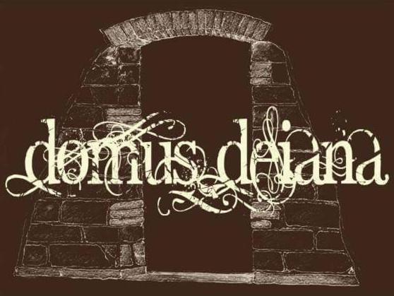マモイアーダにあるB&B Domus Deianaの煉瓦壁
