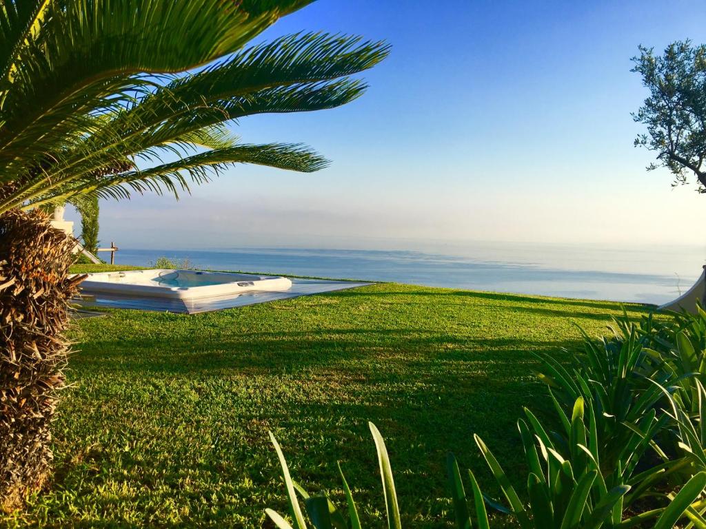 eine Villa mit einer Palme und einem Pool in der Unterkunft Agapanto Luxury Accommodation in Ischia