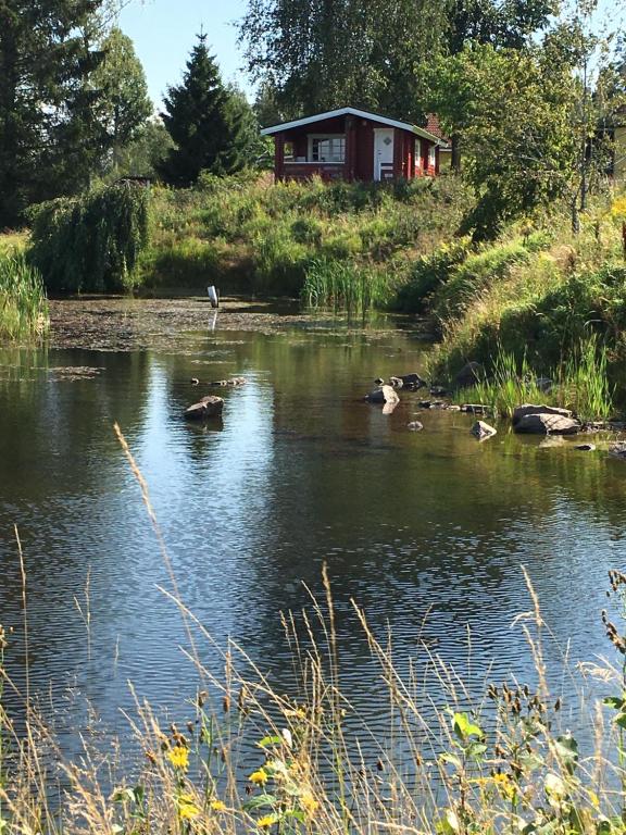 um pássaro parado na água em frente a uma casa em Valla Stuga em Kristinehamn