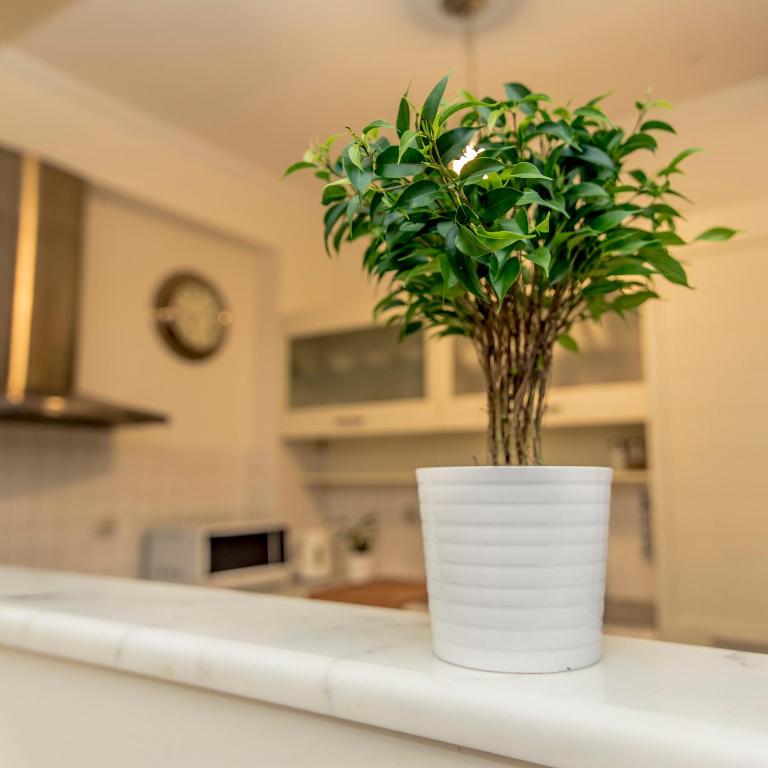 Kuchyňa alebo kuchynka v ubytovaní Elegant Supercentral Apartment