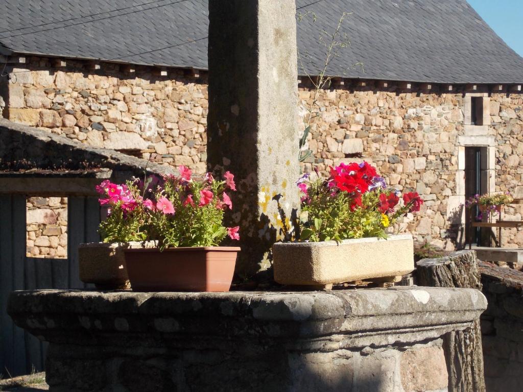 two potted flowers on a stone wall in front of a building at Le Cintrium in Viala-du-Tarn