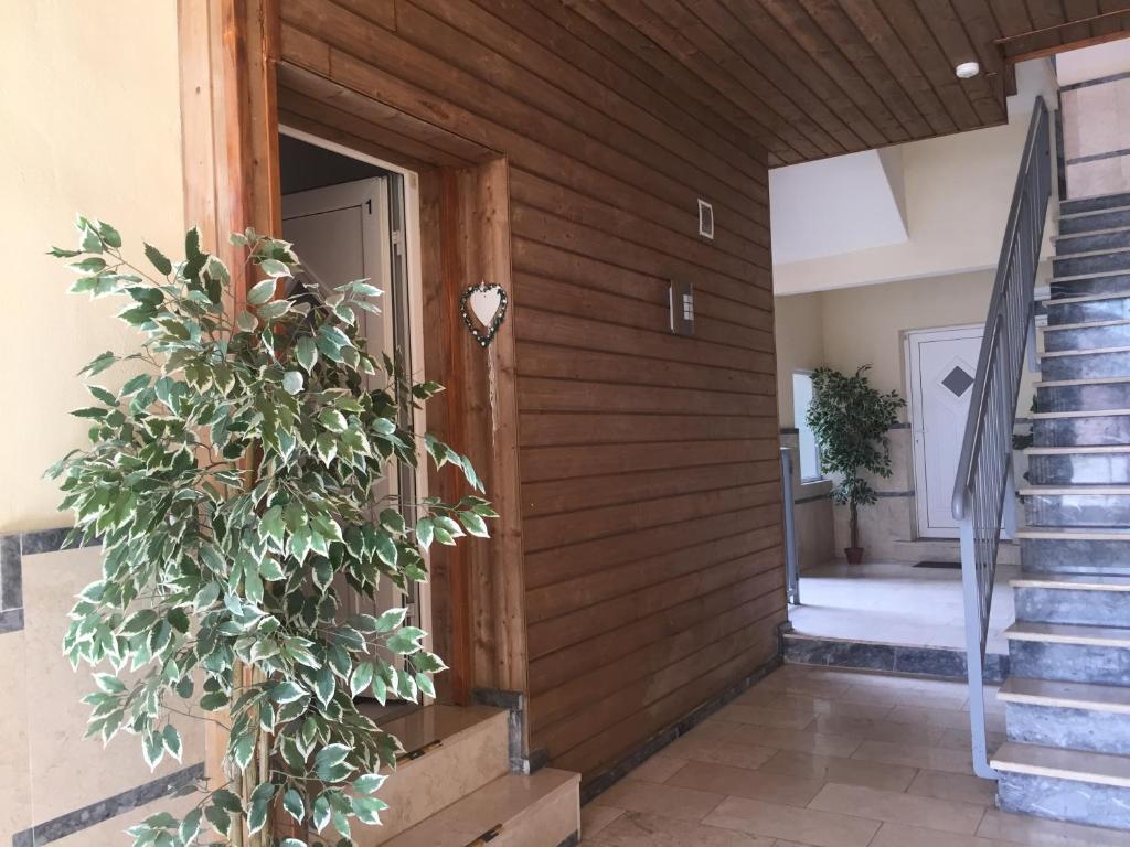 a door to a house with a plant next to it at "Coeur d'elsass"Colmar centre bel appartement avec parking privé in Colmar
