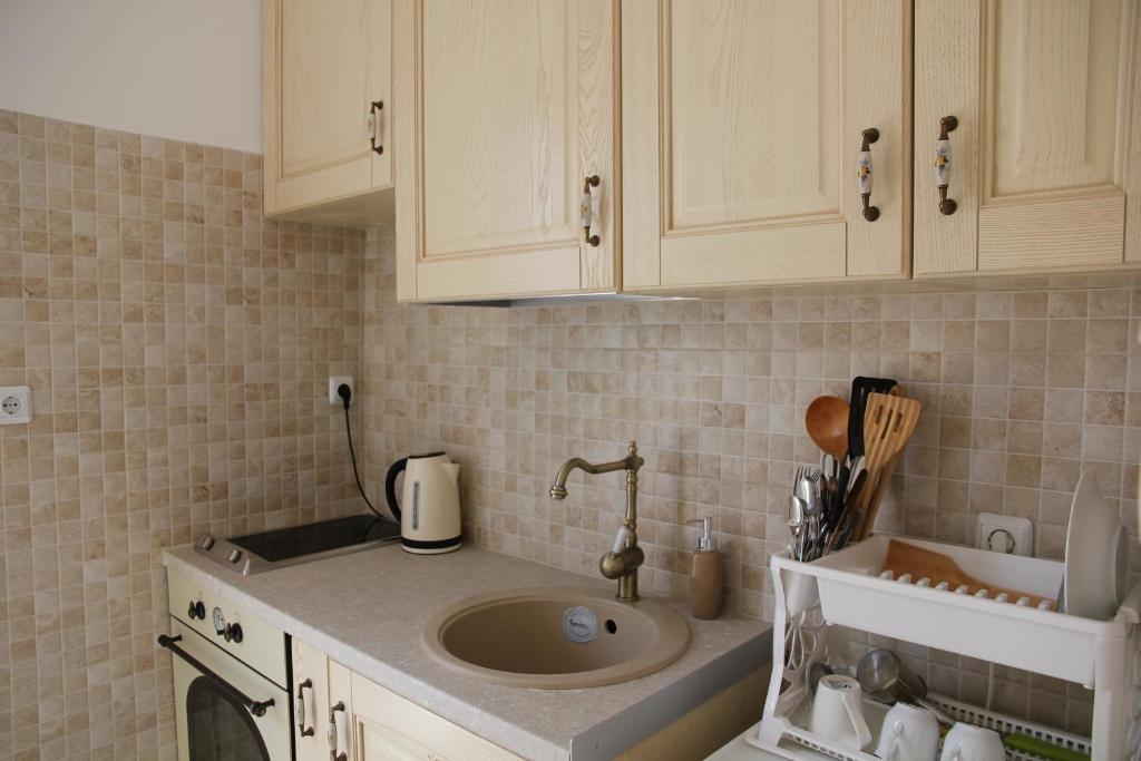 A kitchen or kitchenette at Olga's Studio