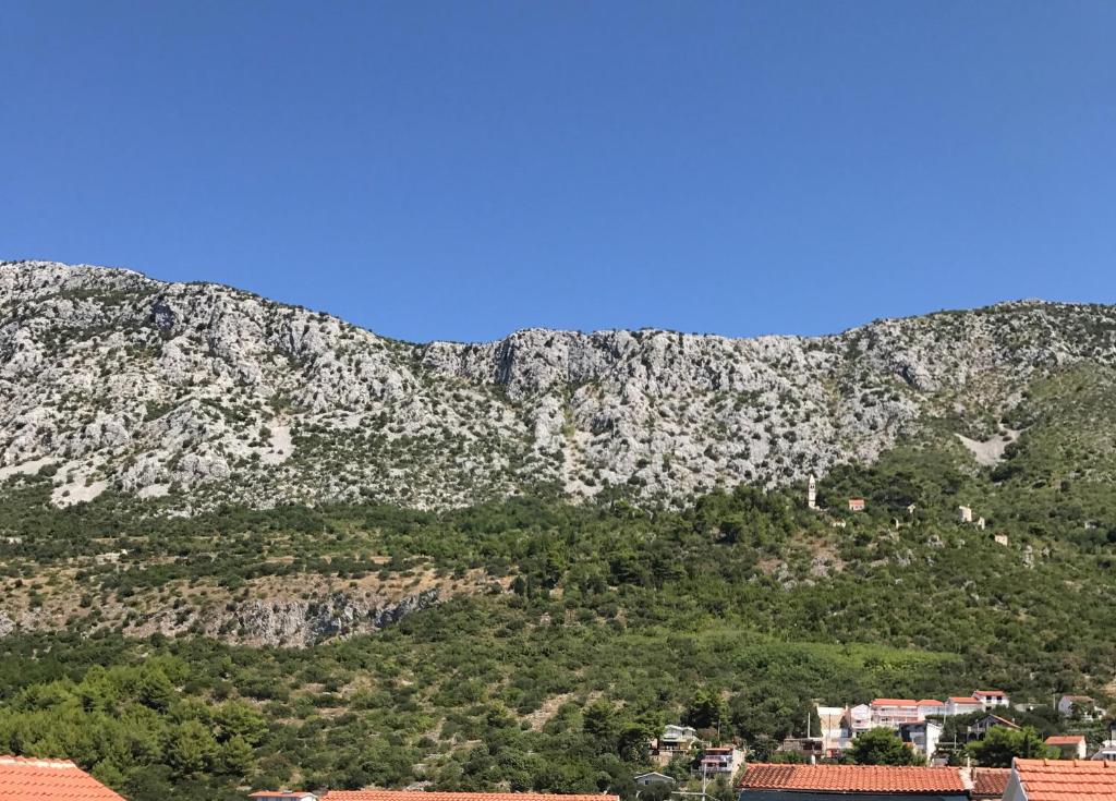 Příroda nedaleko apartmánu