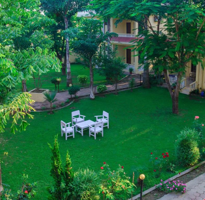 Giardino di Hotel Rainforest