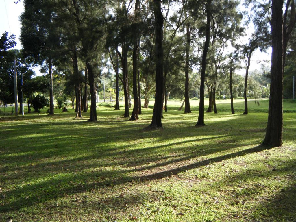een groep bomen in een park met groen gras bij Le Rêve Bleu in Dumbéa