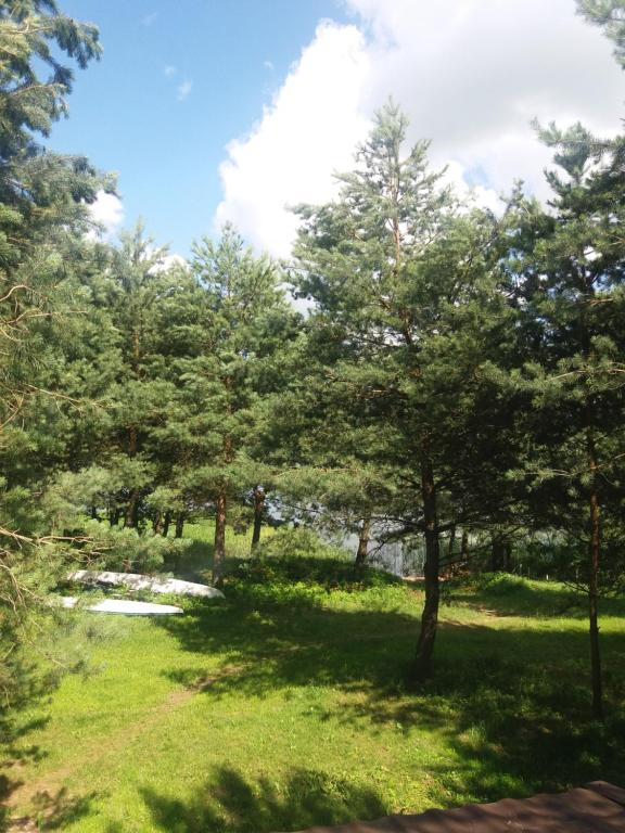 Príroda v okolí dovolenkového domu