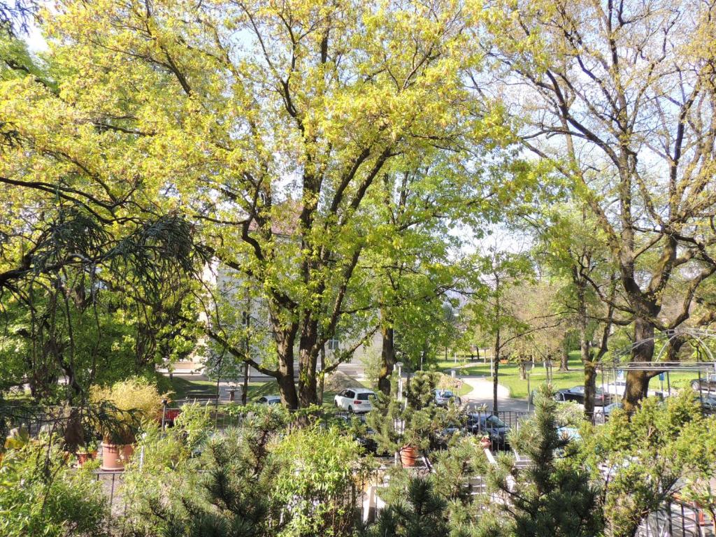 Κήπος έξω από το Solothurn
