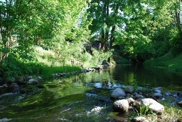 un arroyo con rocas y árboles y un río con árboles en Pod kogutkiem, en Kruklanki