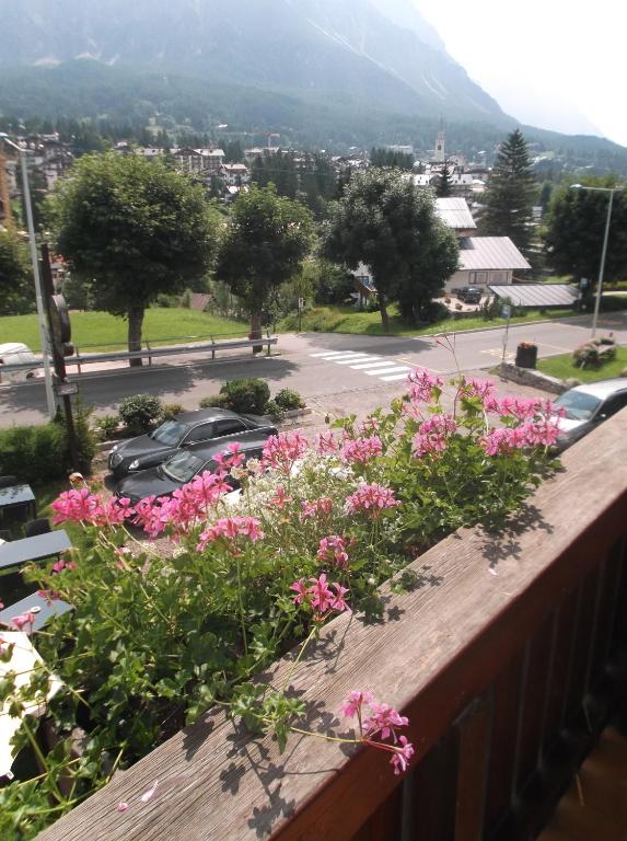 a view of a city from a balcony with pink flowers at Hotel da Beppe Sello in Cortina dʼAmpezzo