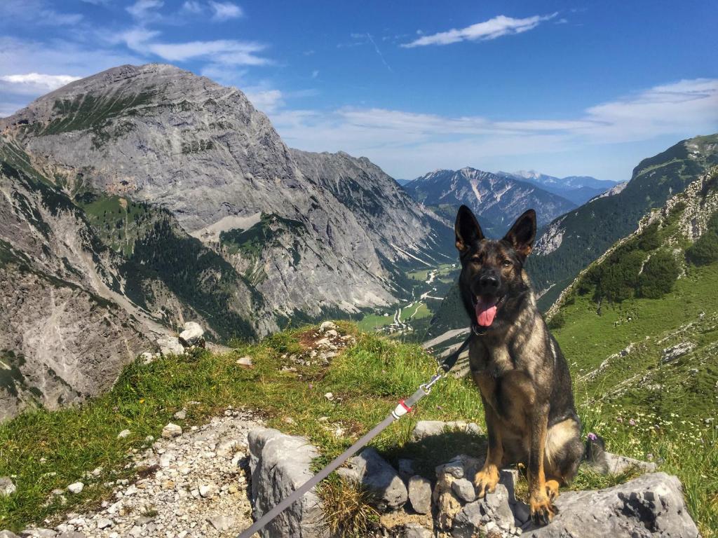 Fotografie z fotogalerie ubytování Café-Pension Erika v destinaci Pertisau