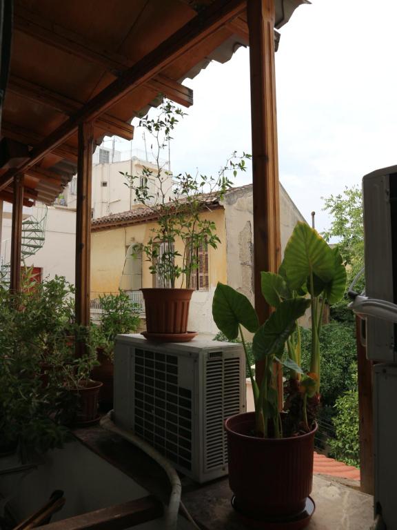 Zahrada ubytování Acropolis House