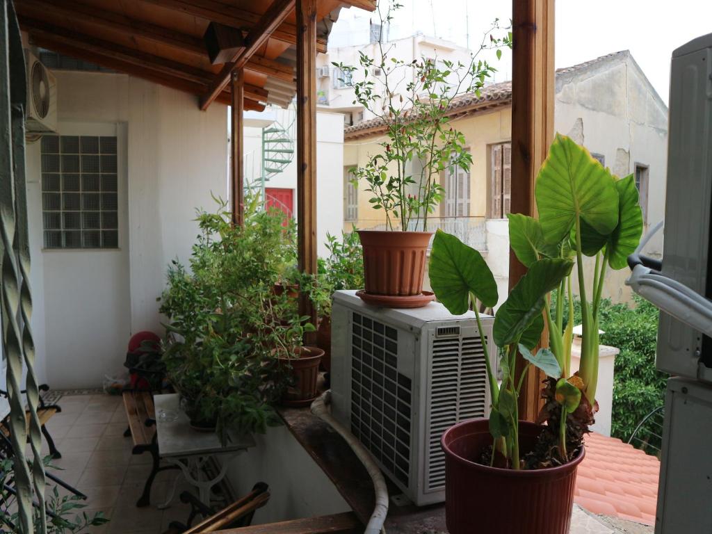 Zahrada ubytování Acropolis House