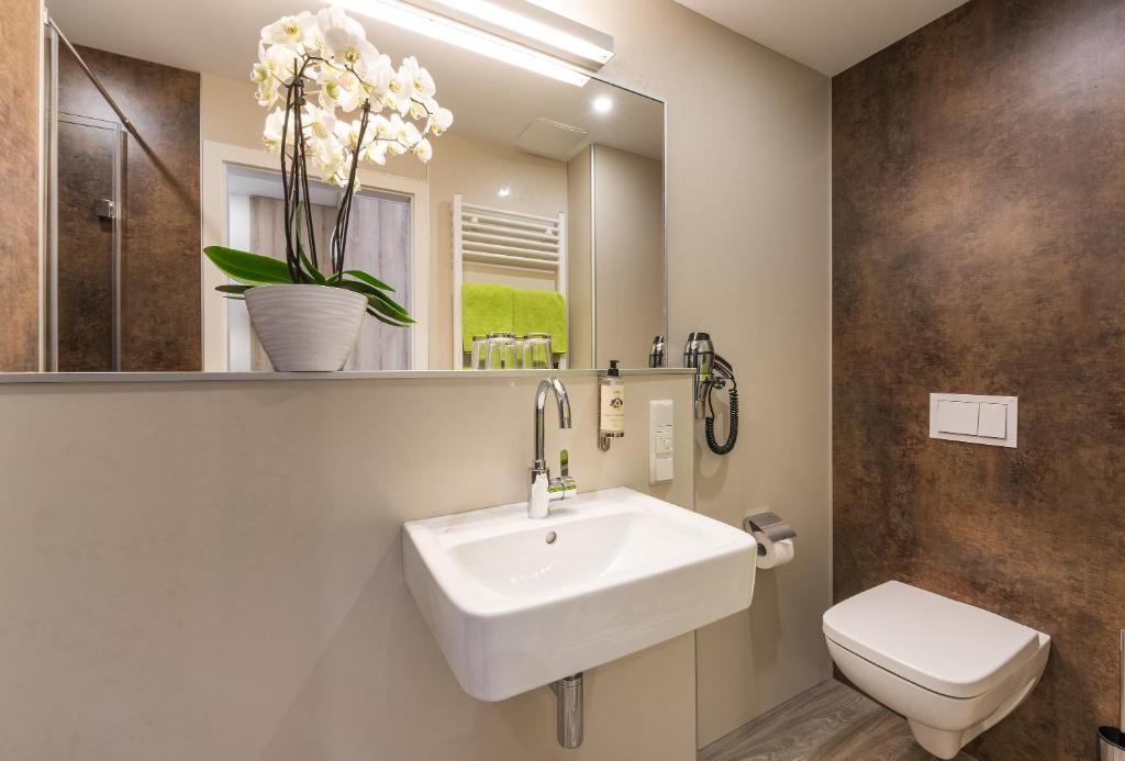 Burg Heimerzheim - 2