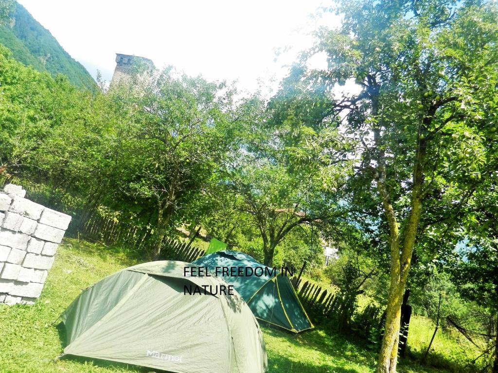 Příroda nedaleko penzionu