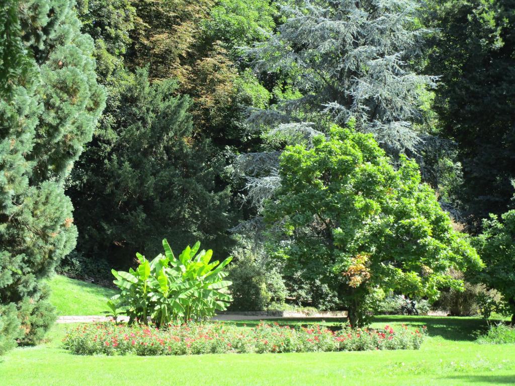 Zahrada ubytování Villa Am Rosenfelspark