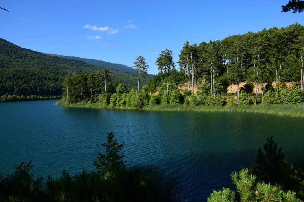 Príroda v okolí hotela
