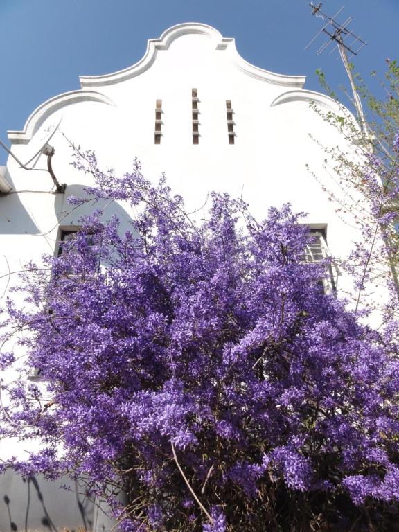 een boom met paarse bloemen voor een gebouw bij Klein Morgenster B&B in Johannesburg