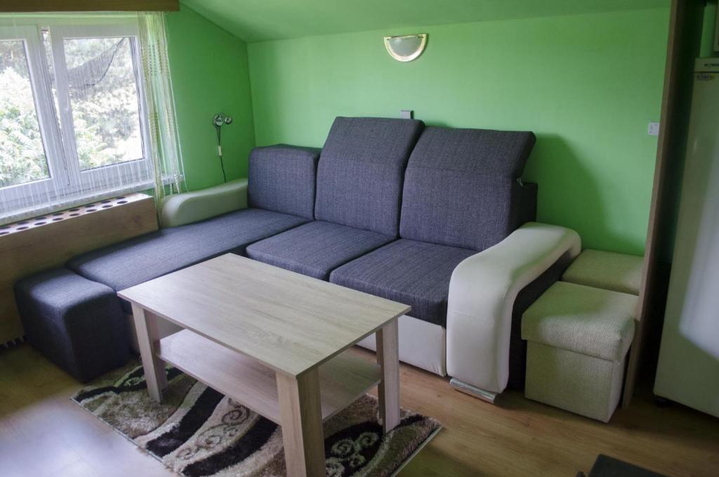 ein Wohnzimmer mit einem blauen Sofa und einem Tisch in der Unterkunft Dagmar Zajacová in Albrechtice