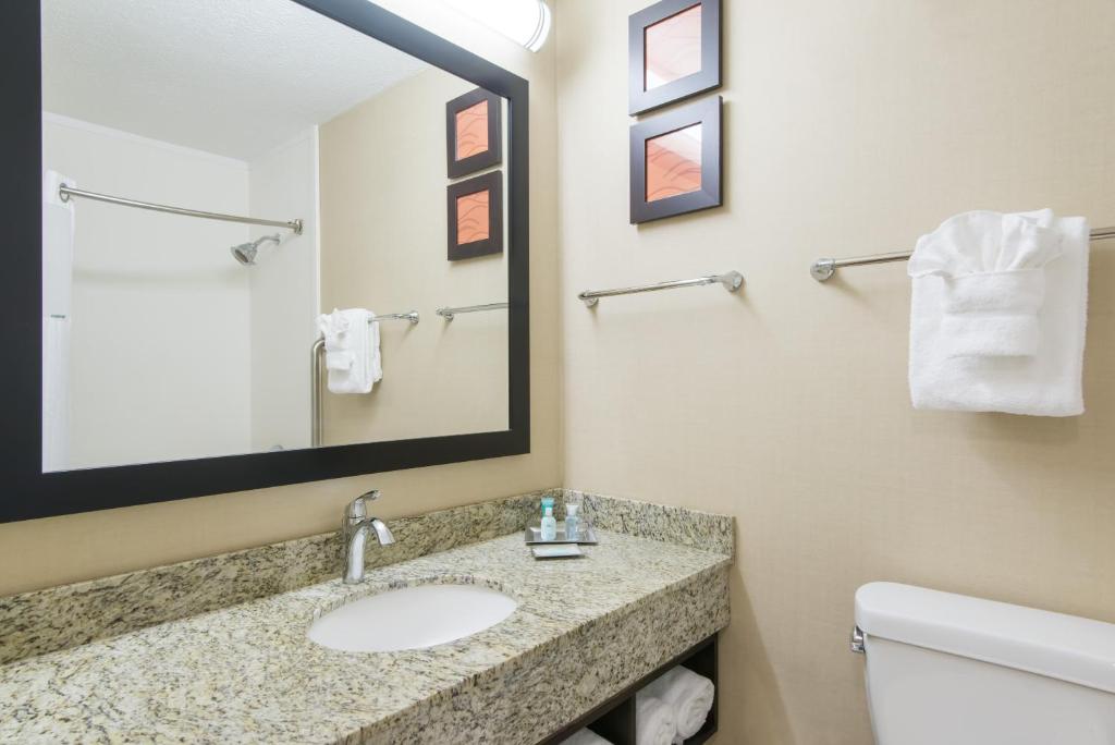 Wyndham Garden Hotel Cross Lanes Charleston - Suite Junior Lit King-Size