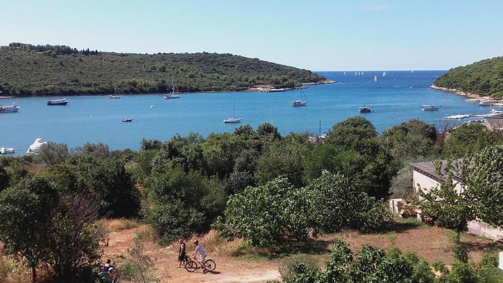 two people riding bikes down a hill near a lake at Apartman Lana in Banjole