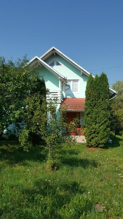 une maison avec deux arbres devant elle dans l'établissement Casa Cristina, à Sovata