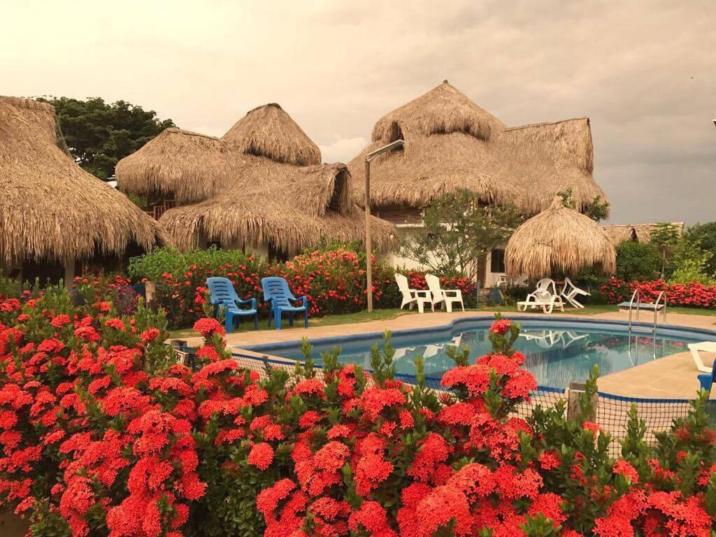 un complejo con piscina y algunas flores en Palomino Breeze Hostal, en Palomino
