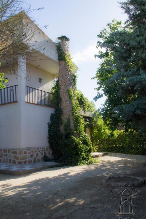 Zahrada ubytování Finca El Molino