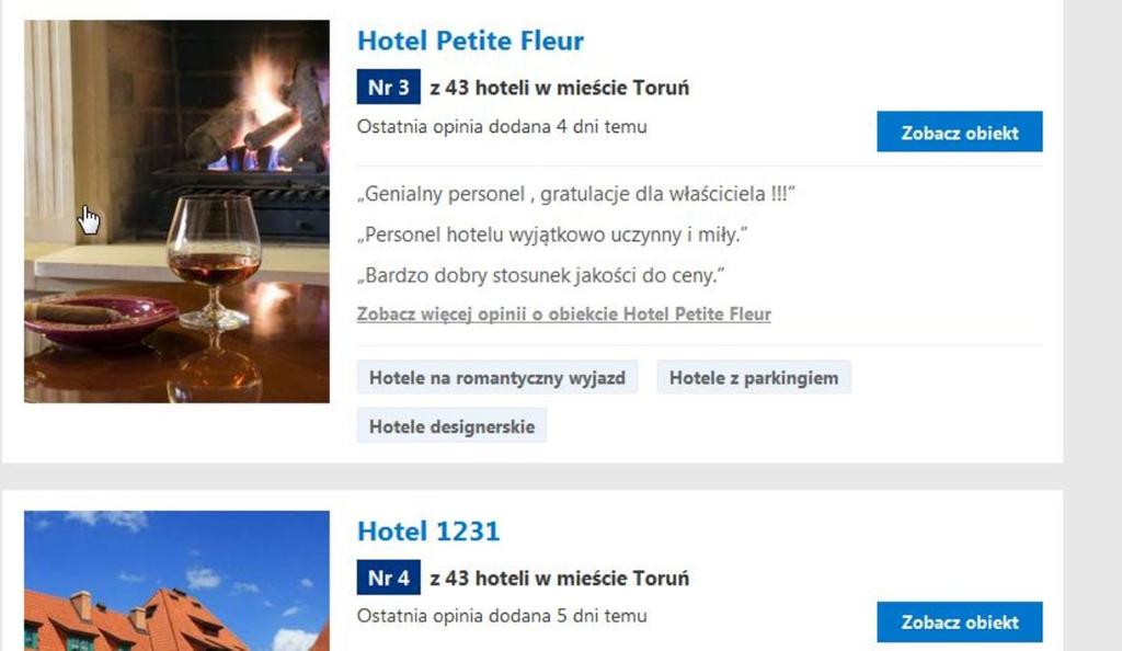 Fotografie z fotogalerie ubytování Hotel Petite Fleur - Adults only ! Air-Conditioning ! v destinaci Toruň