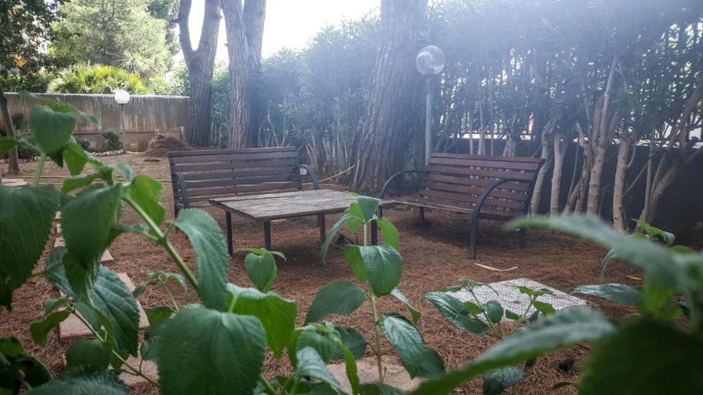 A garden outside Max B&B Fiera