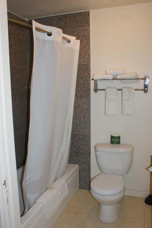 a bathroom with a toilet and a shower curtain at HWY Express Inn and Suites in Thatcher
