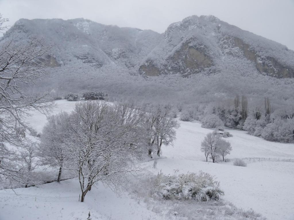 a snow covered field with trees and mountains at Agriturismo I Fondacci in Grizzana