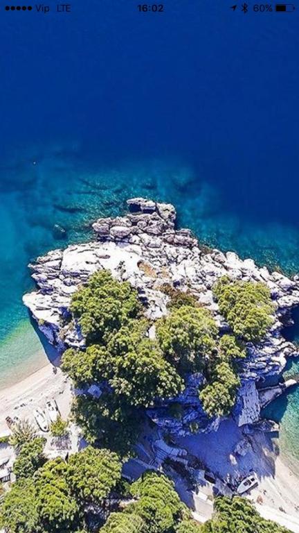 Villa Dalmatia Apartments - 12