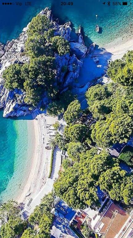 Villa Dalmatia Apartments - 11