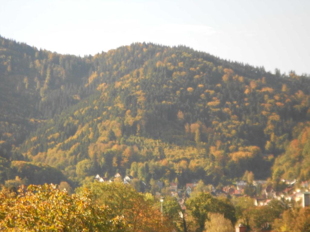 a mountain covered in trees with a town in front at Quartier 1 in Freiburg im Breisgau