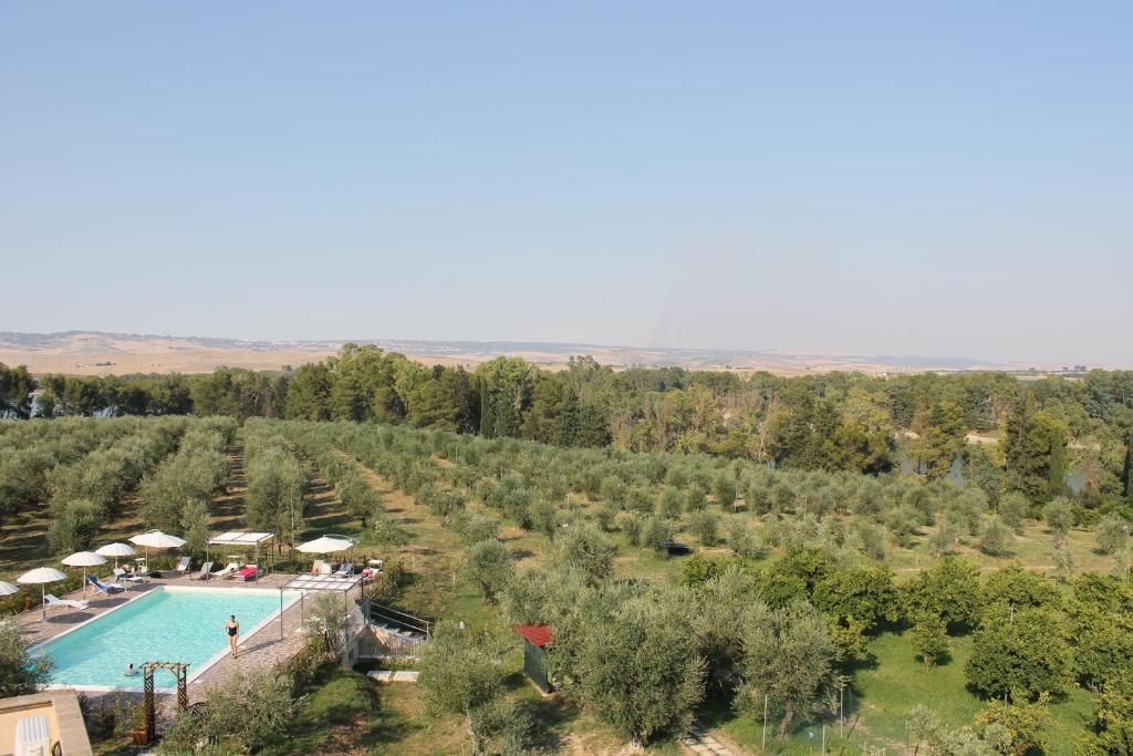 Bazén v ubytování Agriturismo L'Assiolo nebo v jeho okolí