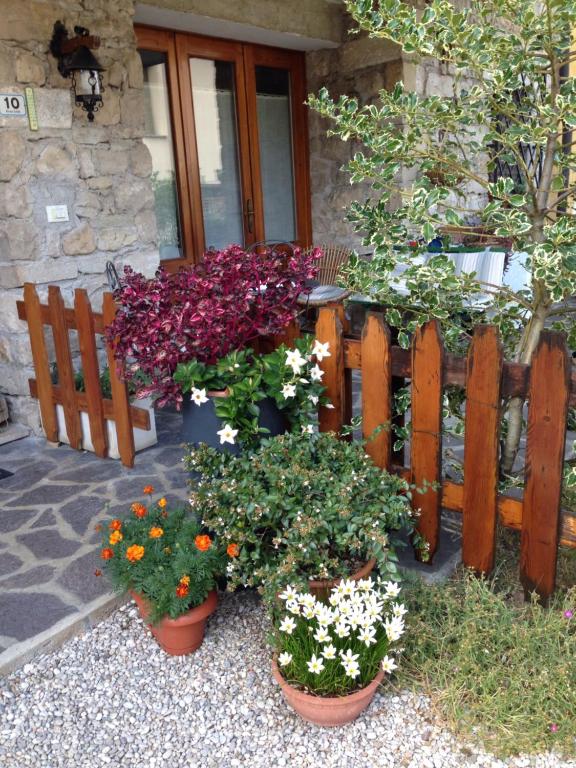 Zahrada ubytování B&B Casa Lisa