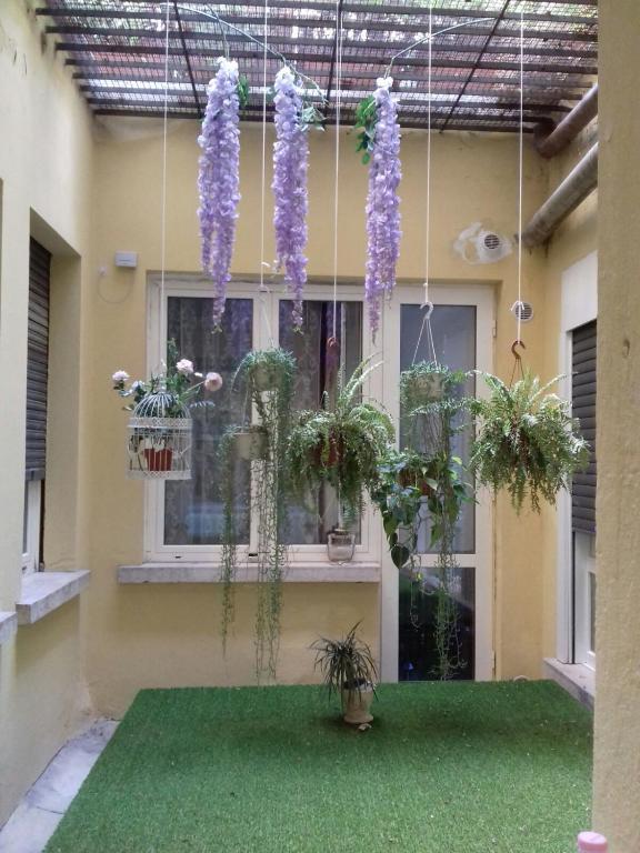 A garden outside Arcadia