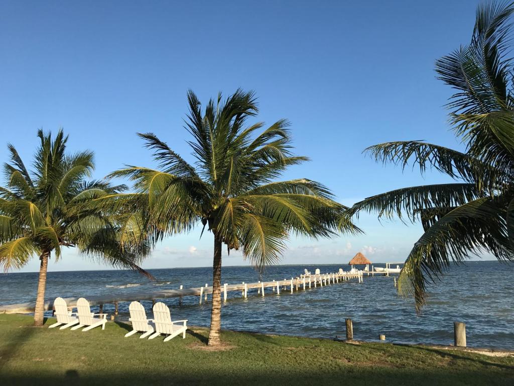 a group of chairs and palm trees on the beach at Tilt-Ta-Dock Resort Belize in Corozal