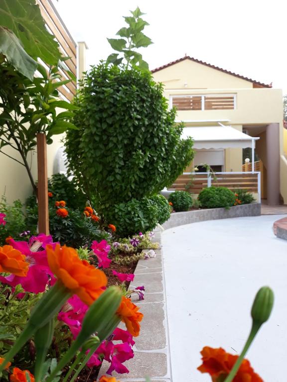 Zahrada ubytování Sunset Apartments Free shuttle from Athen's Airport